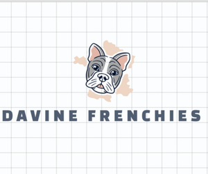 Medium Breeder Profile Photo
