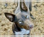 Small #38 Breeder Profile image