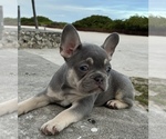 Small #7 Breeder Profile image