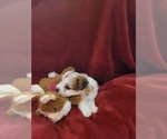 Small #136 Breeder Profile image