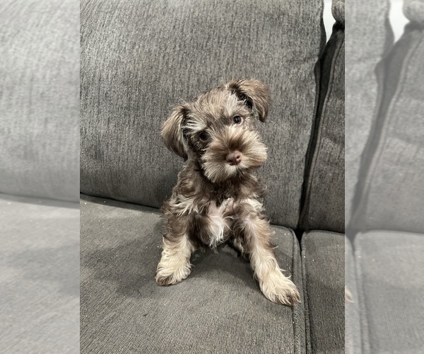 Medium Photo #4  Breeder Profile in SAINT MARYS, KS, USA