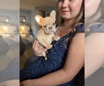 Small #4 Breeder Profile image