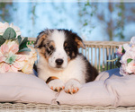 Small #33 Breeder Profile image
