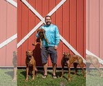 Small #12 Breeder Profile image