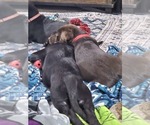 Small #2 Breeder Profile image