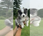 Small #10 Breeder Profile image