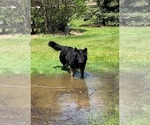 Small #3 Breeder Profile image