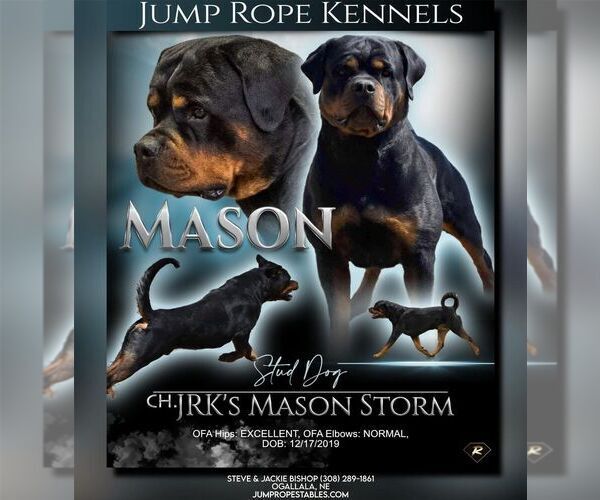 Medium Photo #1  Breeder Profile in OGALLALA, NE, USA