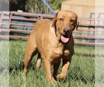 Small #15 Breeder Profile image