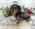 Small #3 Breeder Profile image