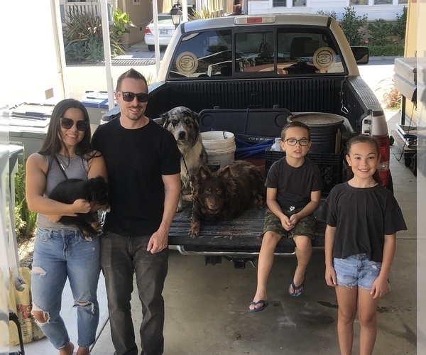 Medium Photo #97  Breeder Profile in SUNNYVALE, CA, USA