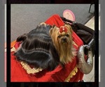 Small #32 Breeder Profile image