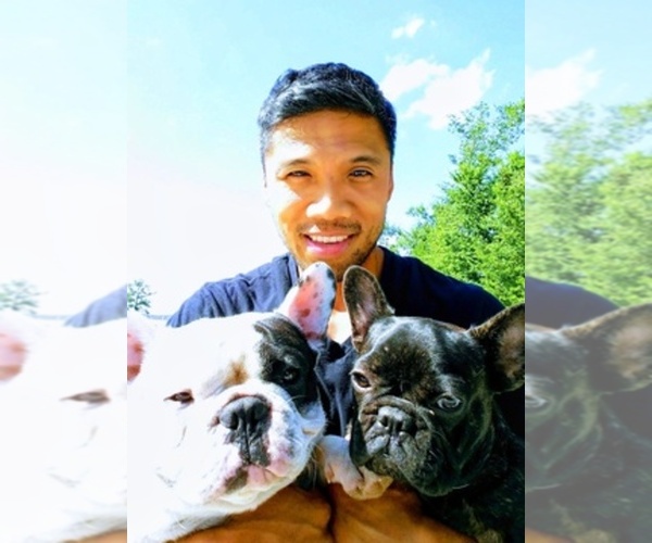 Medium Photo #1  Breeder Profile in ELGIN, IL, USA