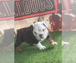 Small #2 Breeder Profile image