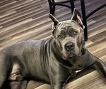 Small #28 Breeder Profile image