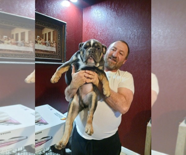 Medium Photo #6  Breeder Profile in MCALESTER, OK, USA