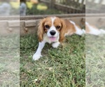 Small #14 Breeder Profile image