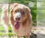 Small #4 Breeder Profile image