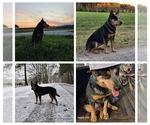 Small #2 Breeder Profile image