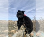 Small #139 Breeder Profile image