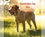 Small #2 Breeder Profile image