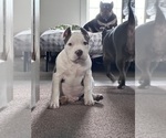 Small #10 Breeder Profile image