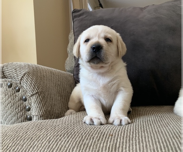 Medium Photo #1  Breeder Profile in ACUSHNET, MA, USA