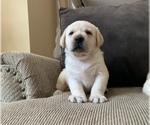 Small breeder photo