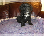 Small #24 Breeder Profile image