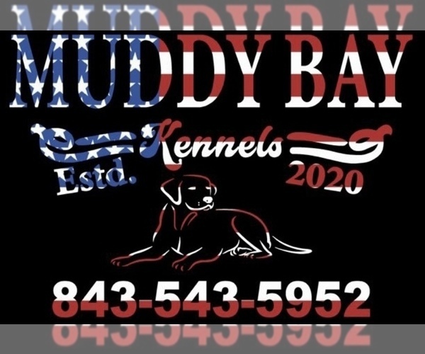 Medium Photo #1  Breeder Profile in GEORGETOWN, SC, USA
