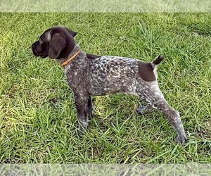 Medium Breeder Profile Photo