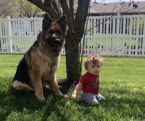 Medium Photo #1  Breeder Profile in VERDON, NE, USA