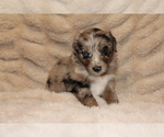 Small #3 Breeder Profile image