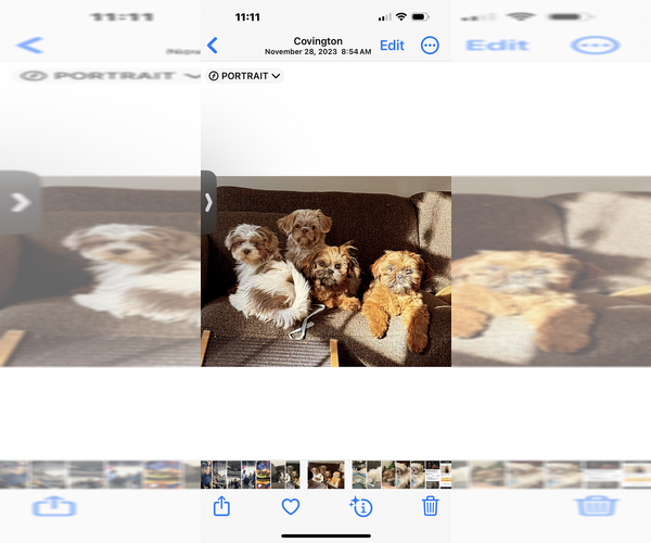 Medium Photo #1  Breeder Profile in COVINGTON, GA, USA