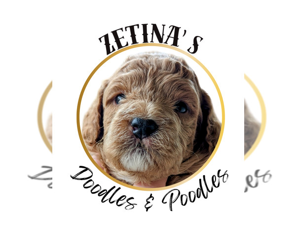 Medium Photo #1  Breeder Profile in SACRAMENTO, CA, USA
