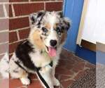 Small #17 Breeder Profile image