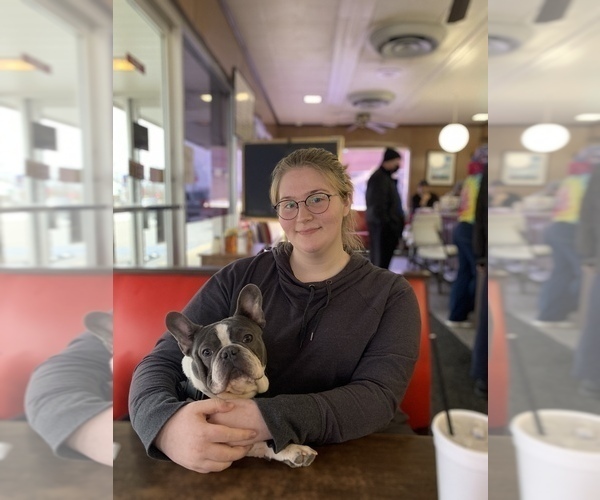 Medium Photo #1  Breeder Profile in ROCKWELL, NC, USA