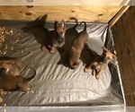 Small #3 Breeder Profile image