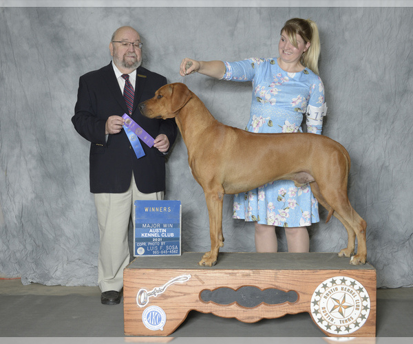 Medium Photo #17  Breeder Profile in CALDWELL, TX, USA
