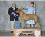 Small #16 Breeder Profile image