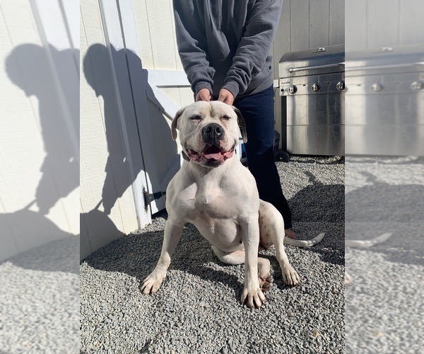 Medium Photo #10  Breeder Profile in COLUMBIA, KY, USA