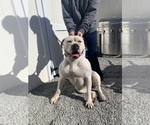 Small #9 Breeder Profile image