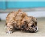 Small #7 Breeder Profile image
