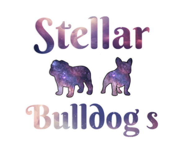 Medium Photo #1  Breeder Profile in PASADENA, TX, USA