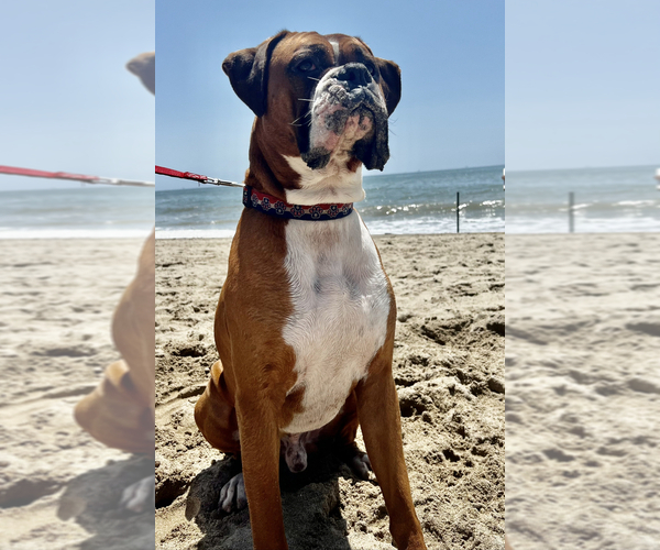 Medium Photo #1  Breeder Profile in SANTA BARBARA, CA, USA