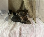 Small #25 Breeder Profile image