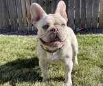 Small #1 Breeder Profile image