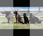 Small #3 Breeder Profile image