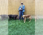 Small #75 Breeder Profile image