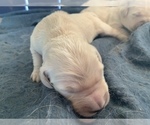 Small #4 Breeder Profile image